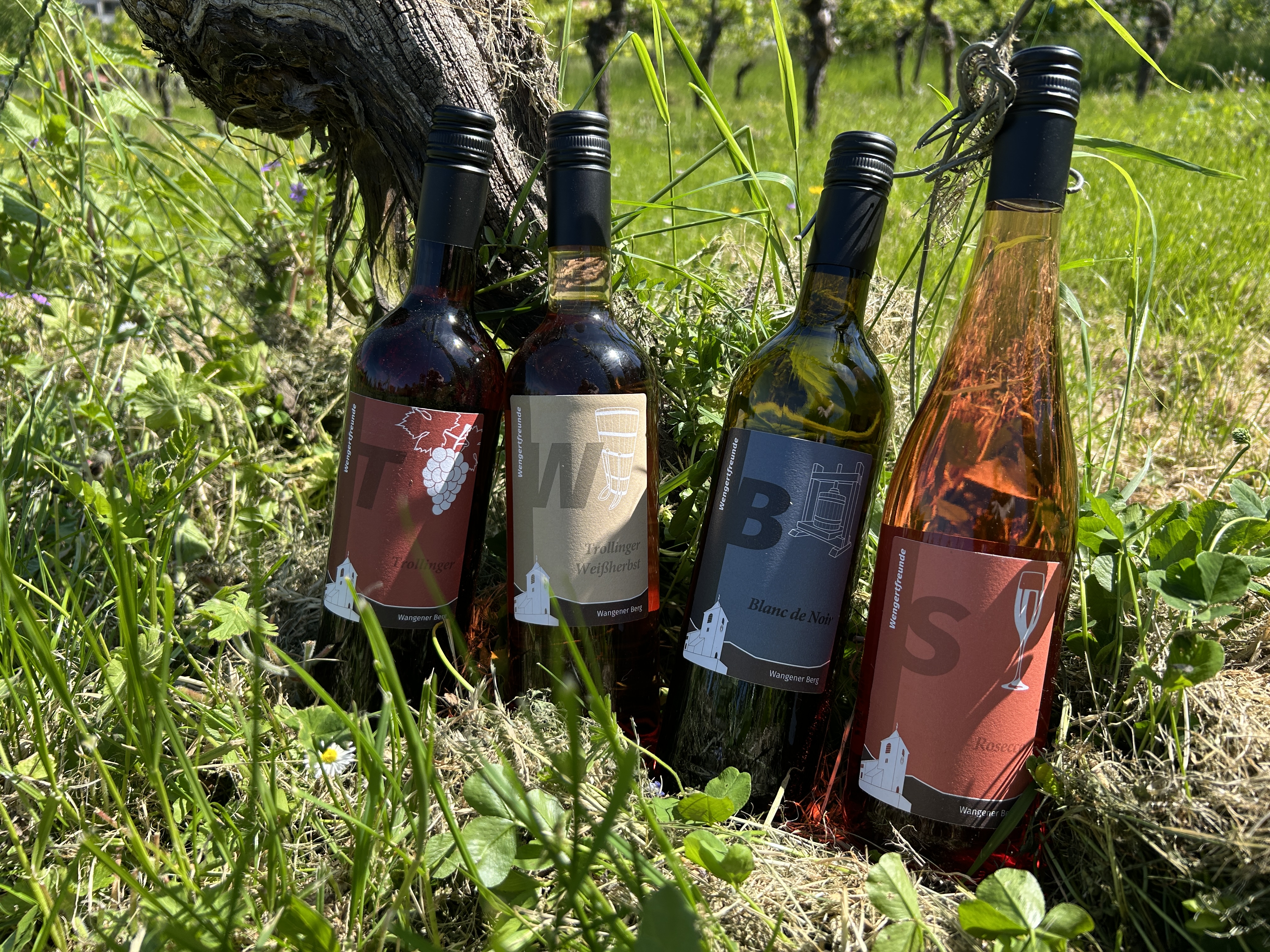 Unser komplettes Weinsortiment